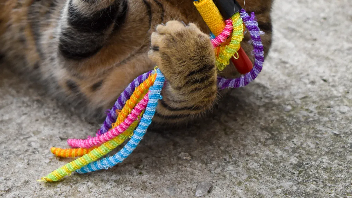 Play & Enrichment