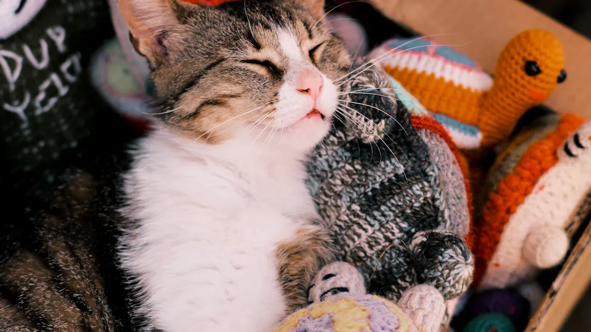 DIY Pet Parents