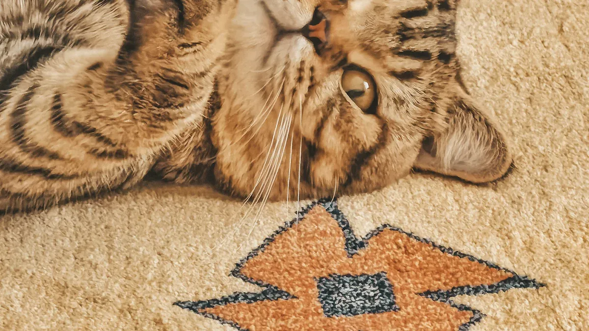 Custom Pet Wool Felt Photo Frame