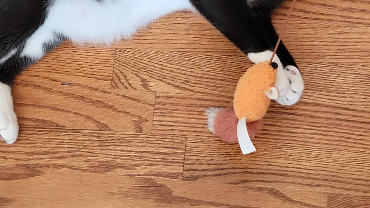 Gifts for Cats