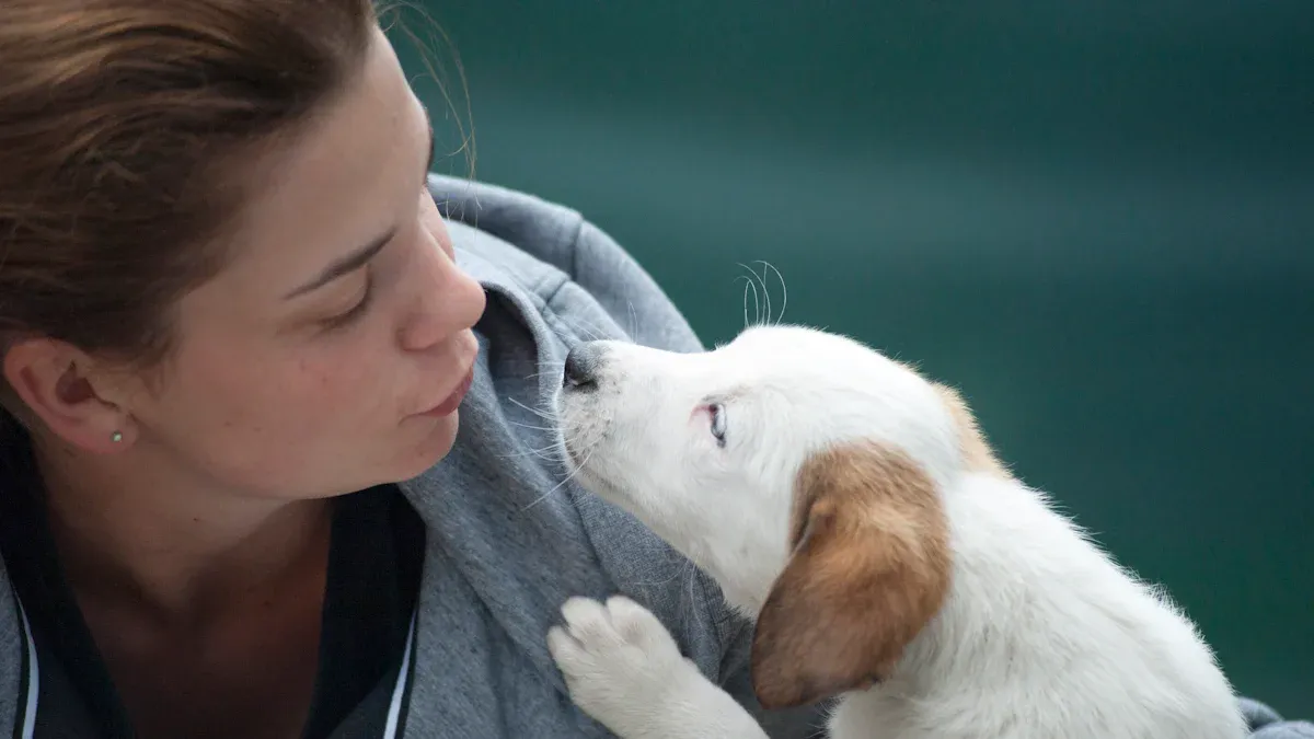 QuickCreator for Pet Care and Animal Blogging