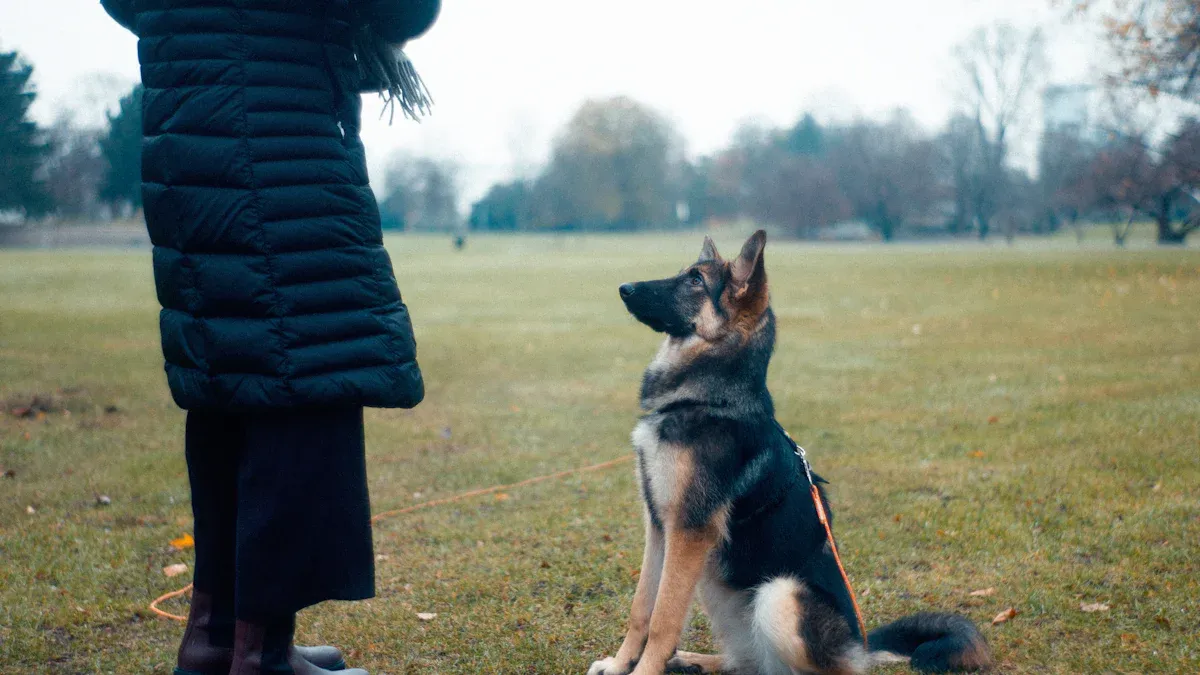Pet Behavior Niches