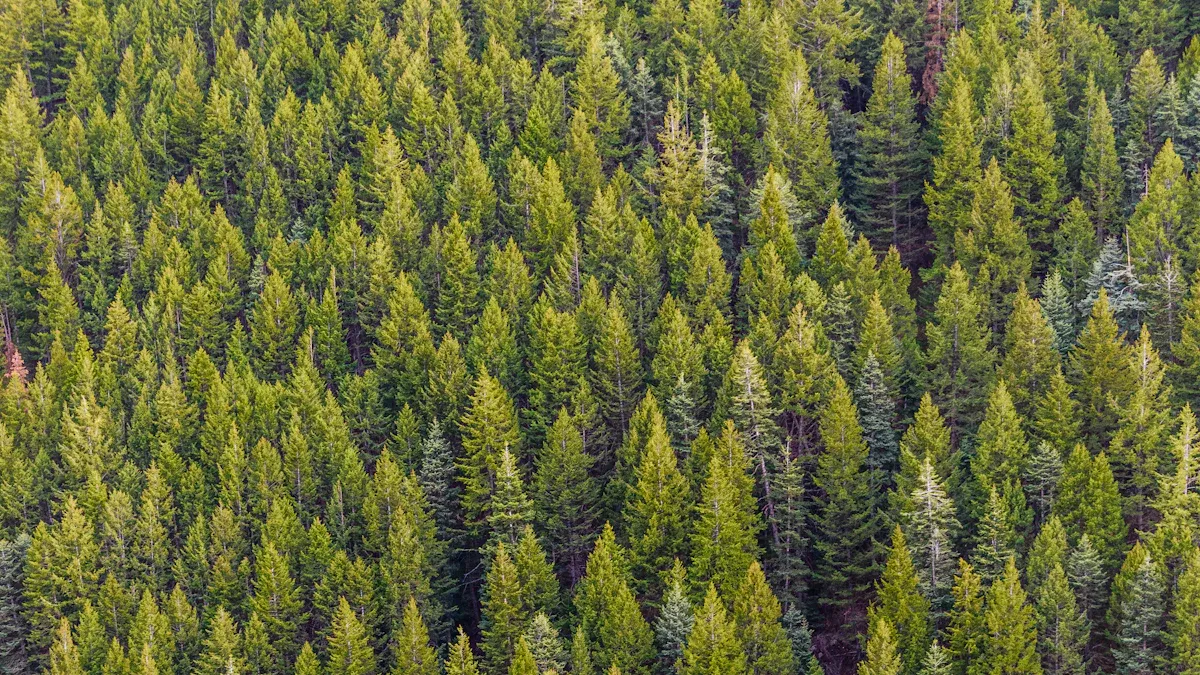 How AI Helps Identify What Content Should Be Evergreen
