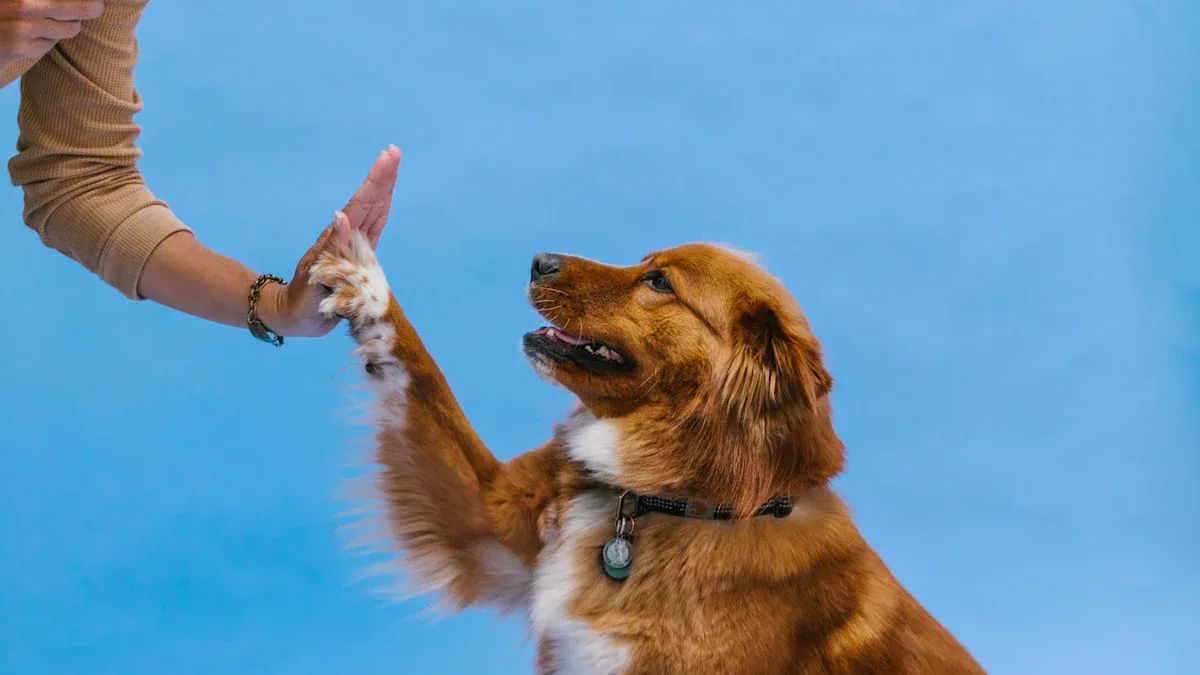 Pet Training Niches