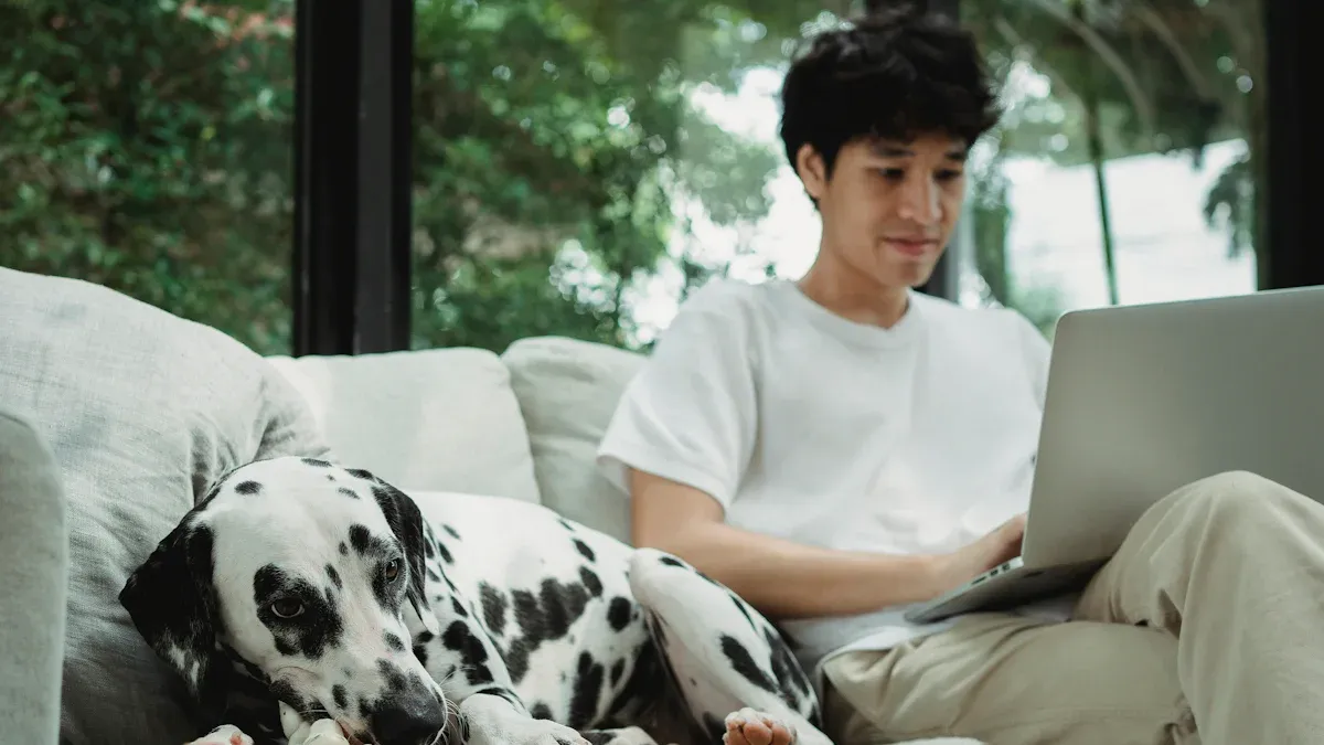 Understanding QuickCreator for Pet Care