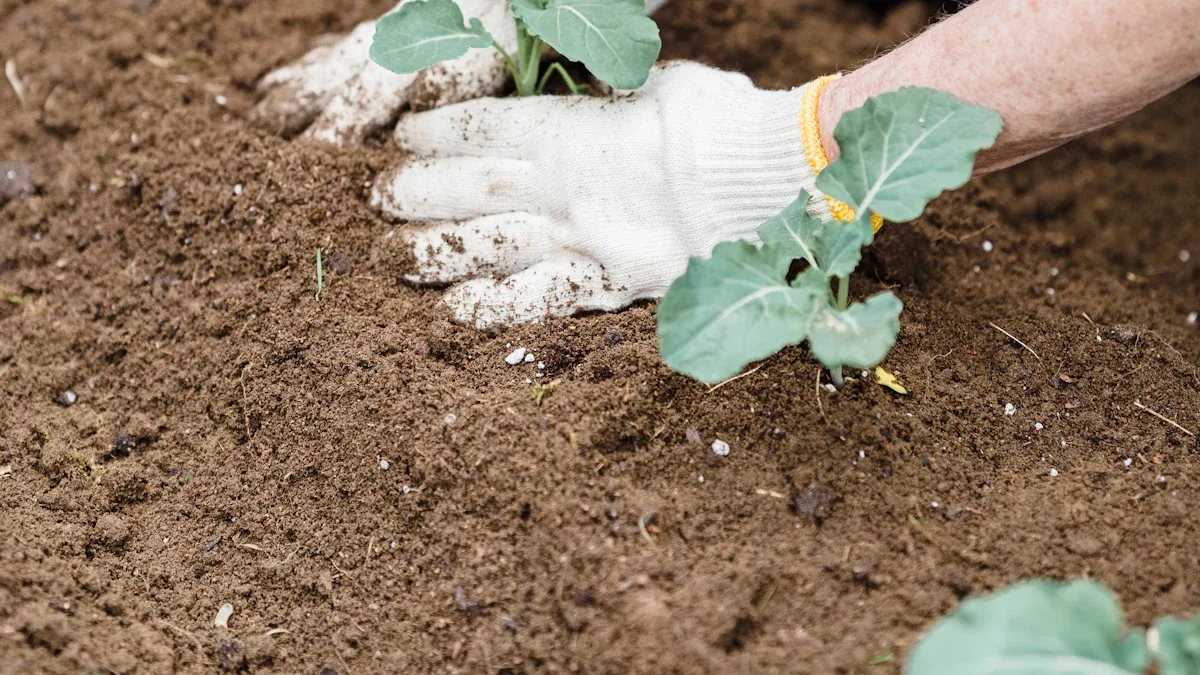 فوائد سماد كبريتات المغنيسيوم