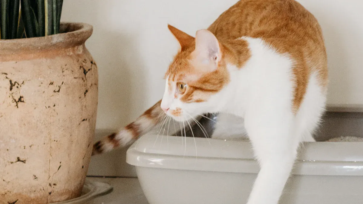 Top 10 Eco-Friendly Air Purifier Kits for Cat Litter Boxes