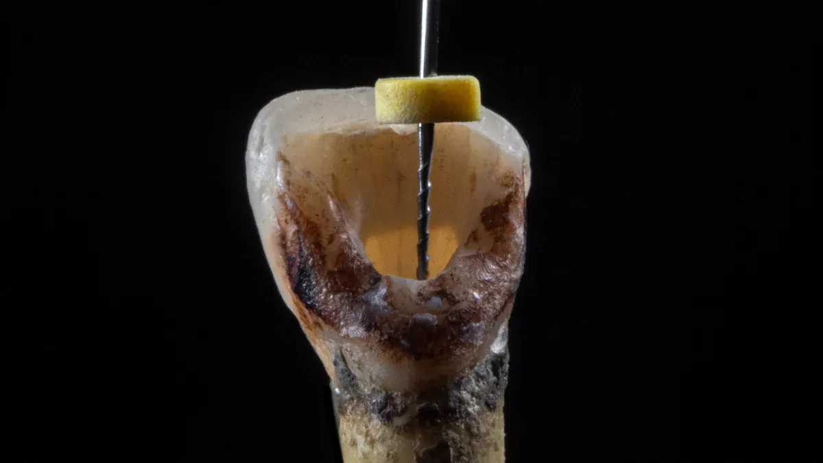 Understanding Nitinol and Its Unique Properties