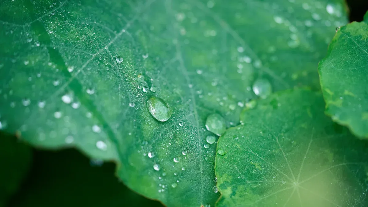 Moisture Absorption Comparison: Polyimide vs PEEK vs PTFE
