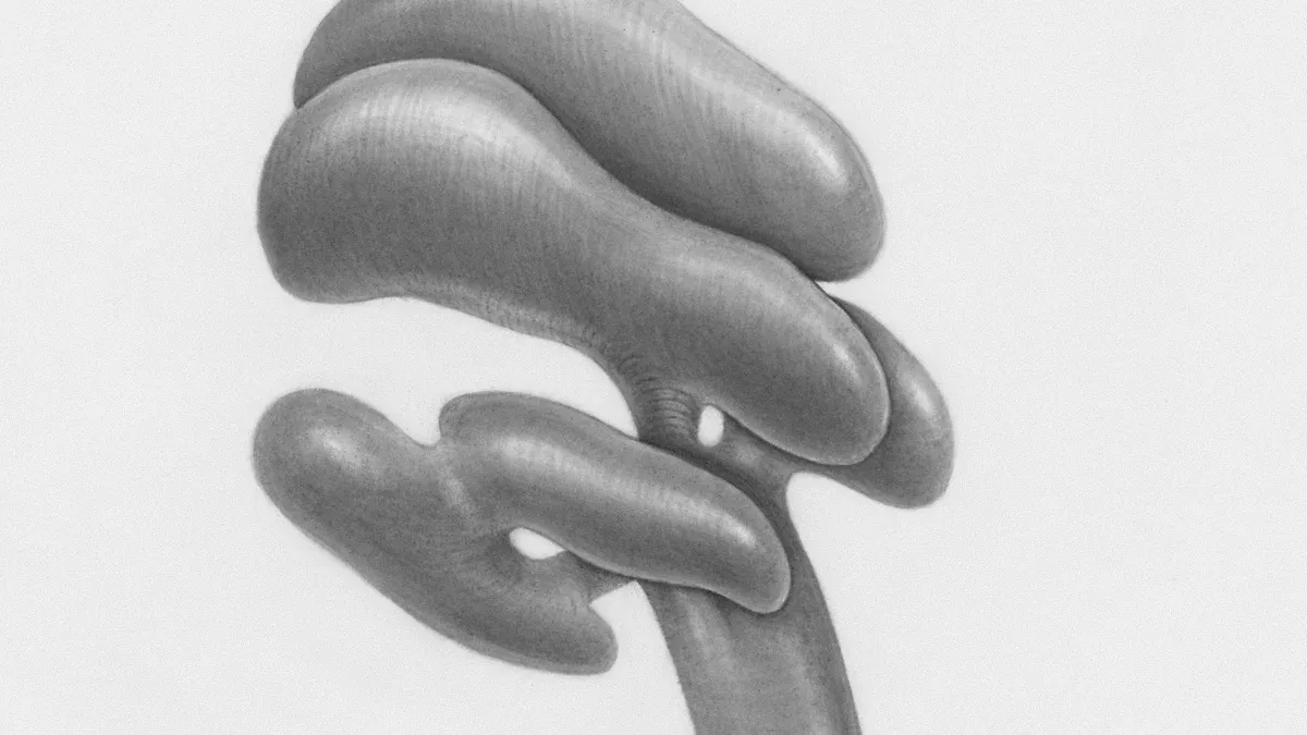 Performance in Vascular Grafts
