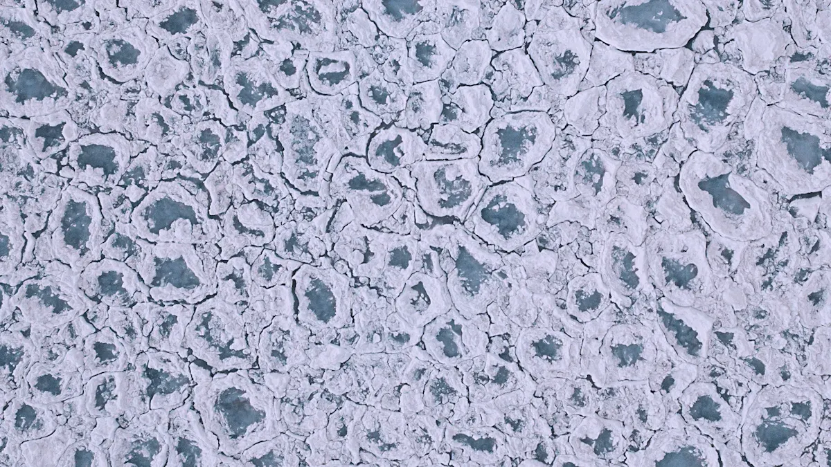 Loading Conditions and Microstructural Impact on Nitinol Fatigue Life