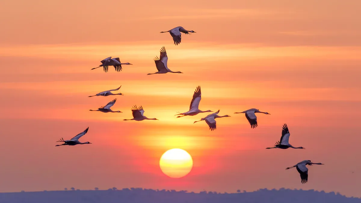 Migrating from Hadoop to a Lakehouse in Five Steps