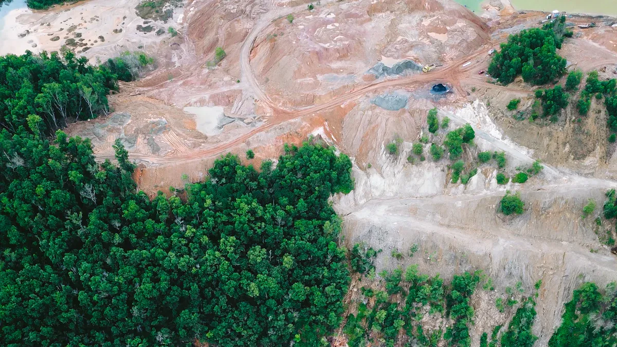 Bronze Layer Overview