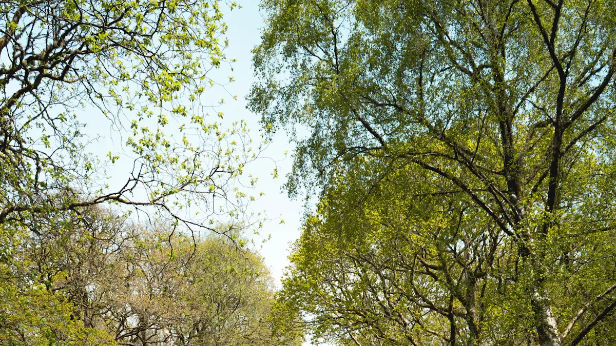 Building a Kafka-to-Lakehouse Streaming Pipeline