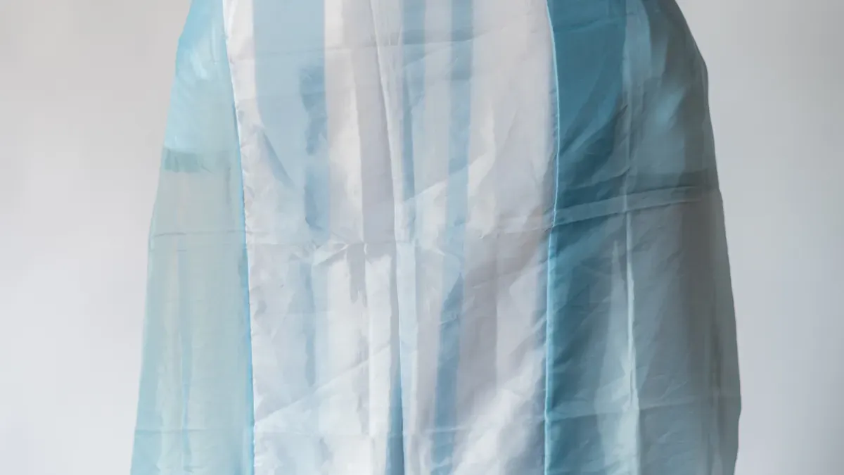 Origins and History of Santos FC Colors