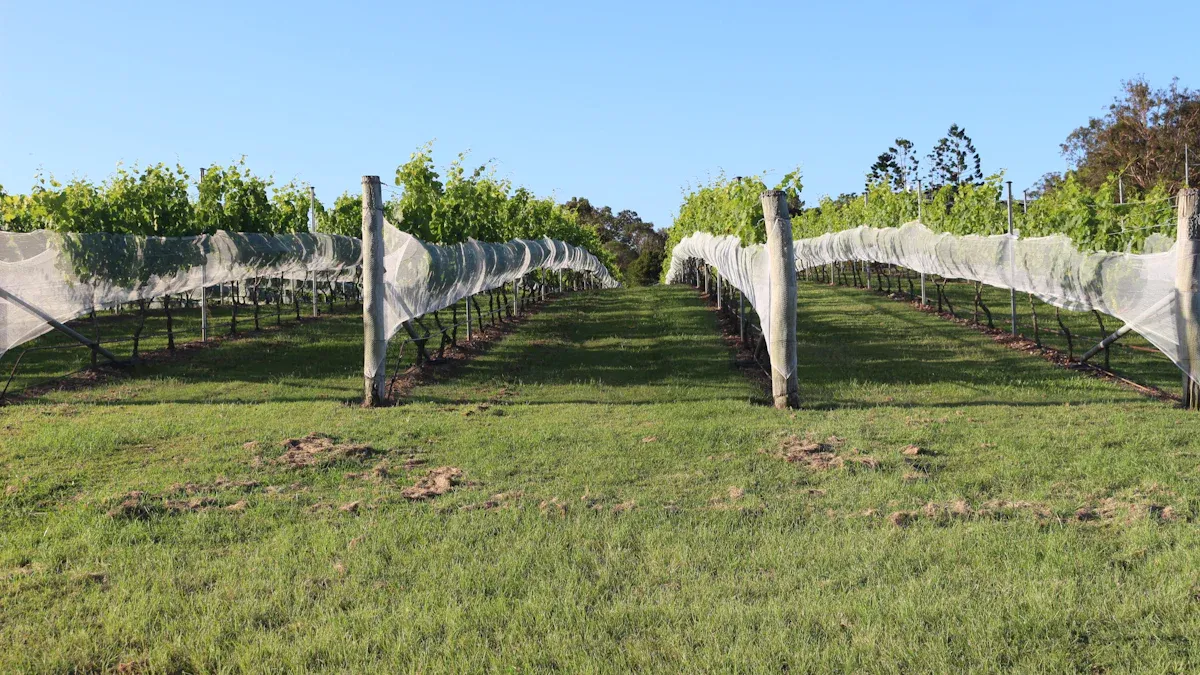 Installing Bird Netting Effectively
