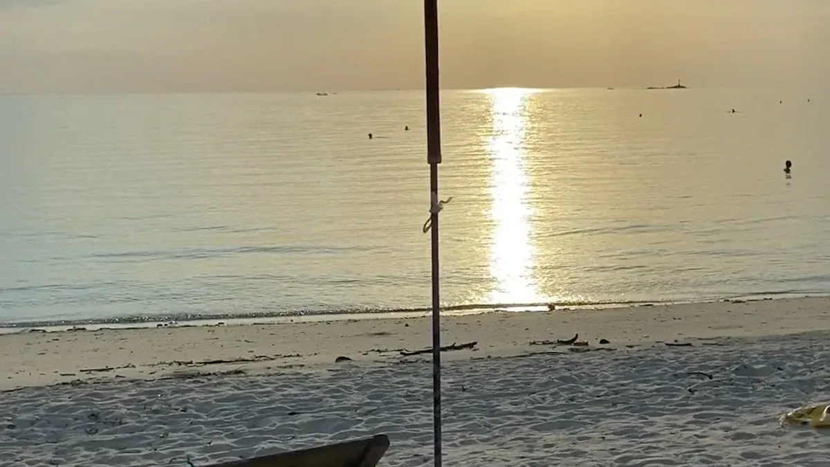 Comparing Aluminum Sunshade Net and Regular Sunshade Net