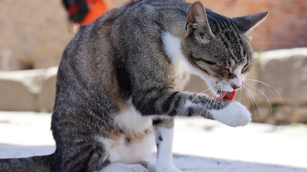 Best Hairball Remedy Tubes for Cats: Brand Comparison