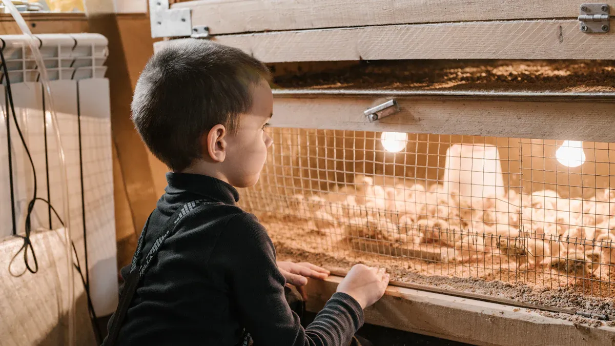 Brooder Plate or Wall Heater by Chick Stage