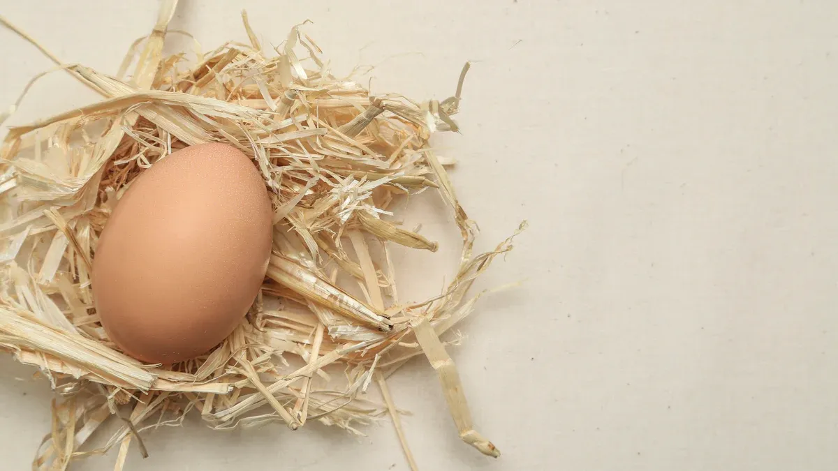 Egg Selection & Storage