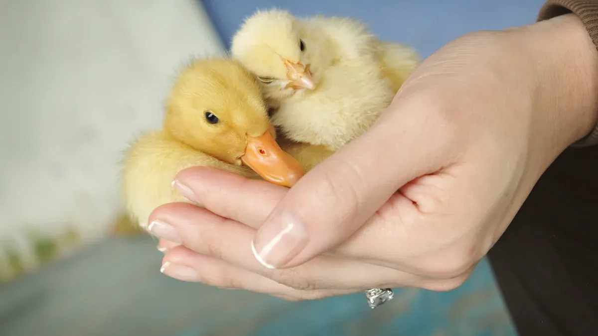 Step-by-Step Assisted Hatching