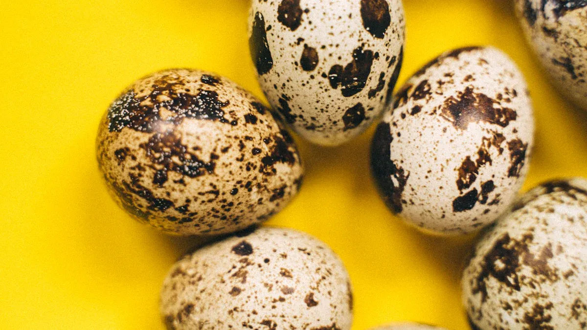 Hatching Quail Eggs: Best Practices