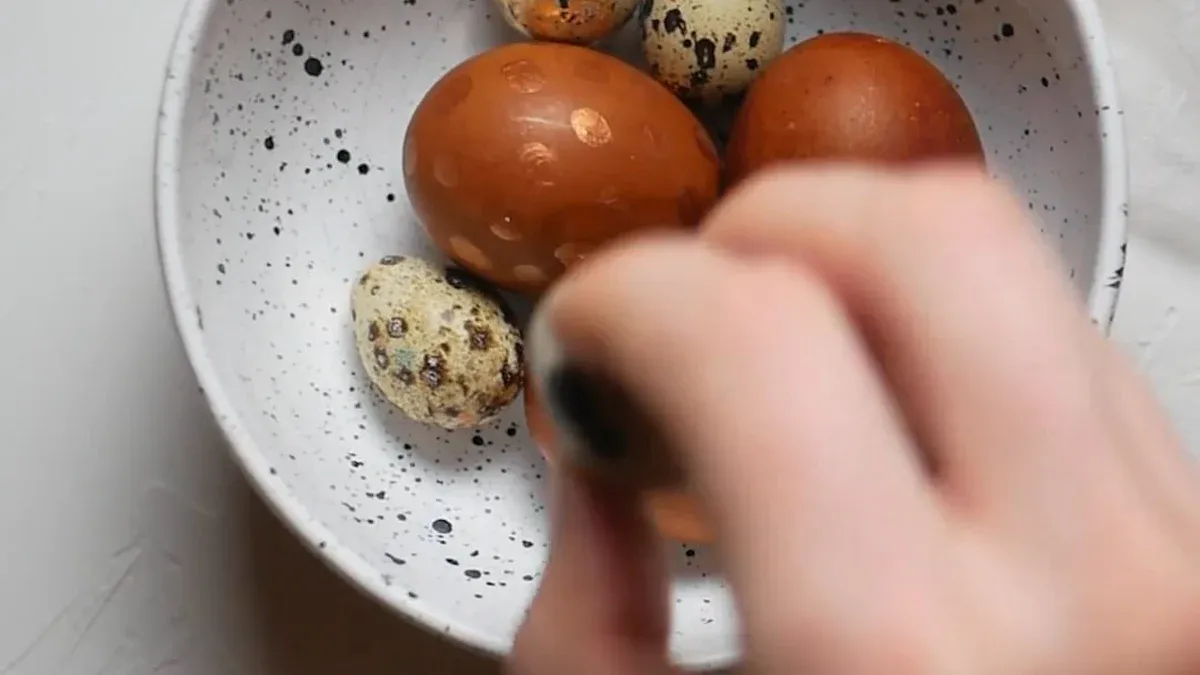 Why Egg Turning Matters in Incubators