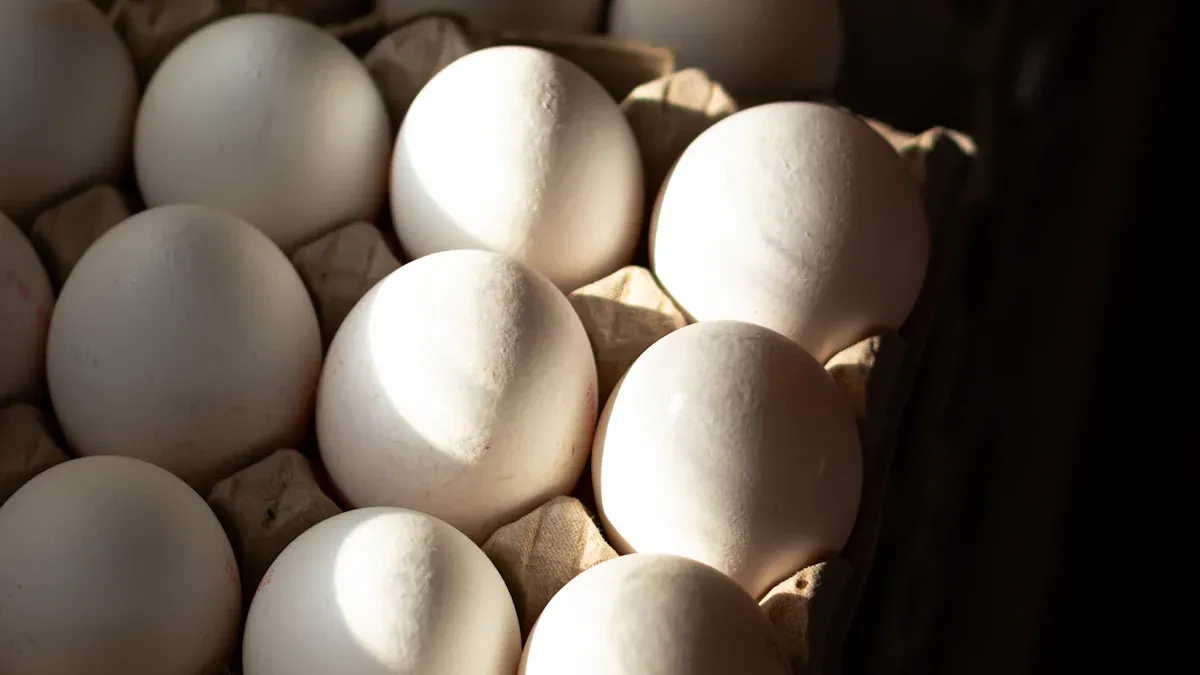 Automatic Egg Turning Schedules