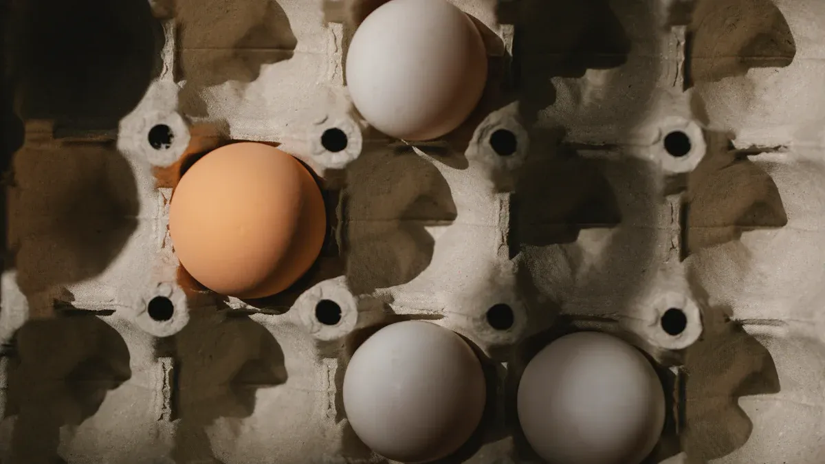 Chicken Egg Incubator Cleaning