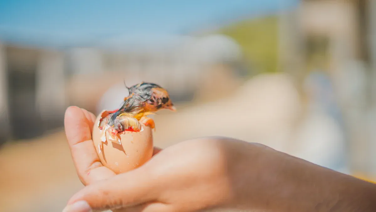 Hatching Process