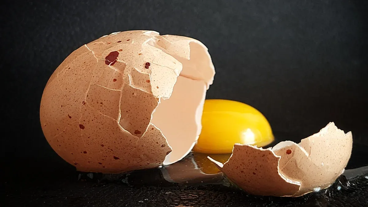 Egg Incubator Turner Angle