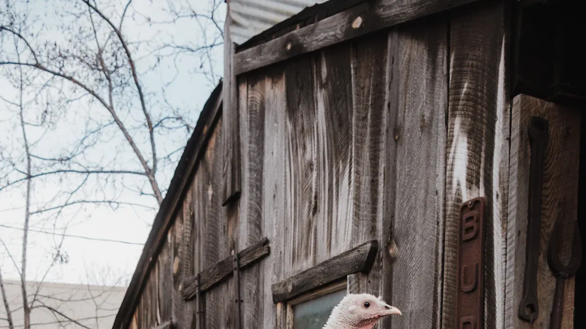 Safe Ways to Heat Chicken Coop Without Electricity