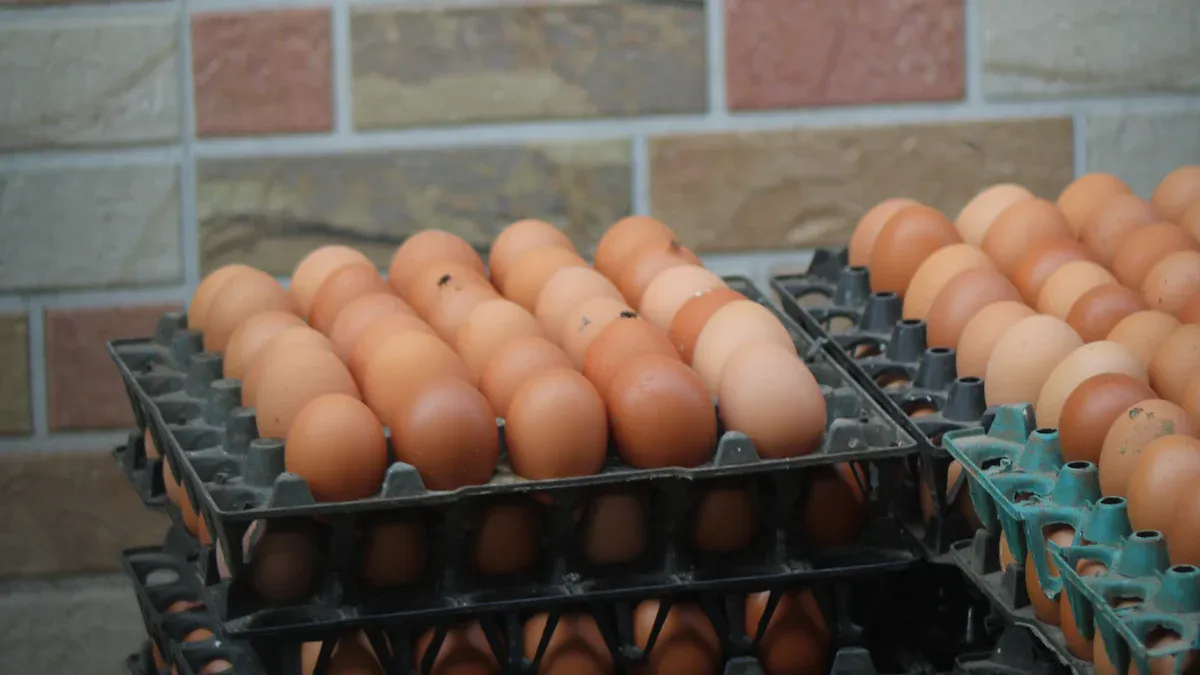 True low humidity&mdash;evaporation issues