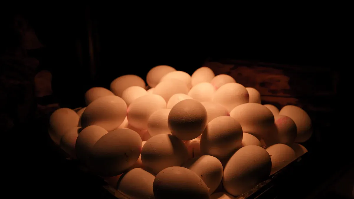 Egg incubator size and capacity planning