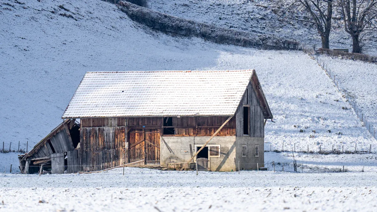 Keeping Your Flock Warm in Winter