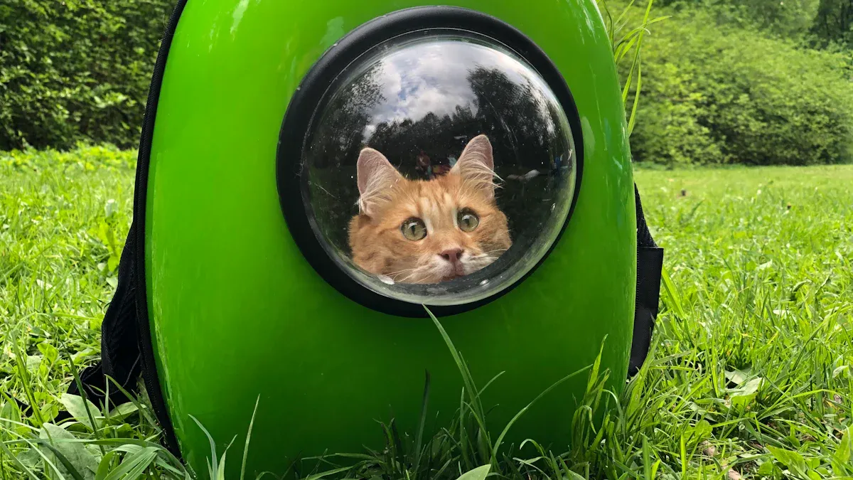 10 Cat Carriers Every Pet Owner Should Consider for Vet Visits
