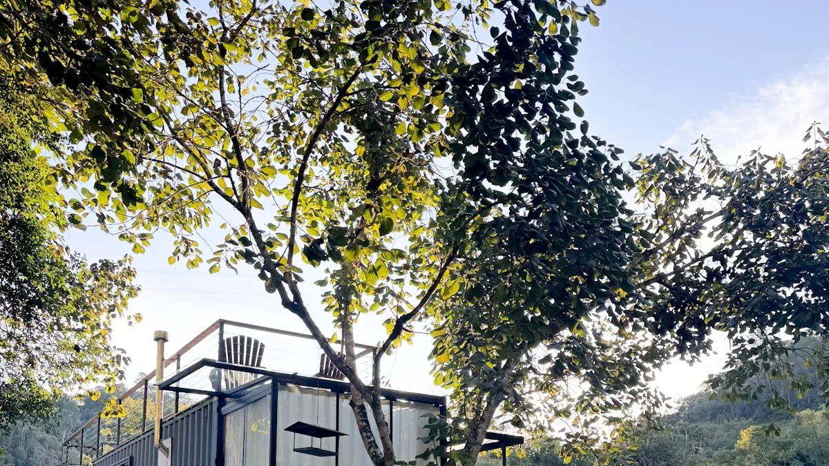 Prefab Container House