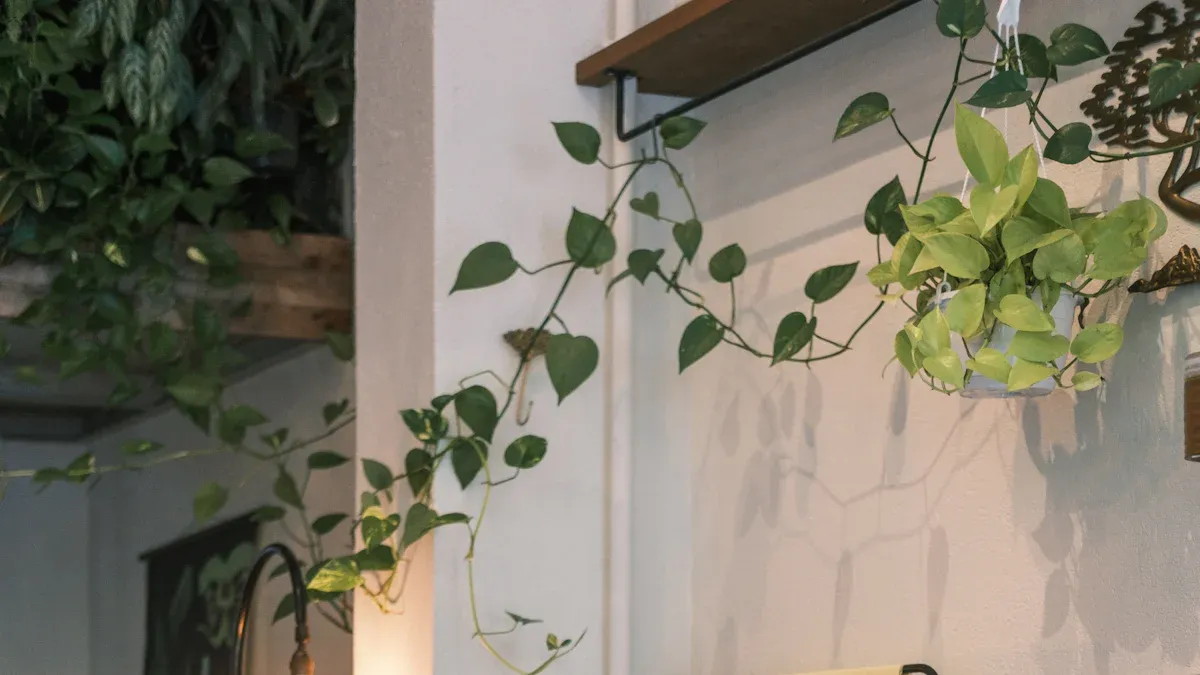 Modular Site Container Canteen