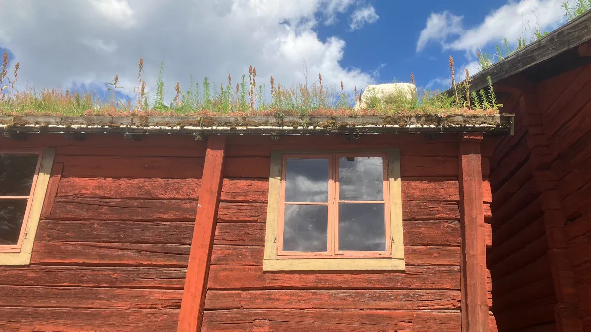 shipping container homes