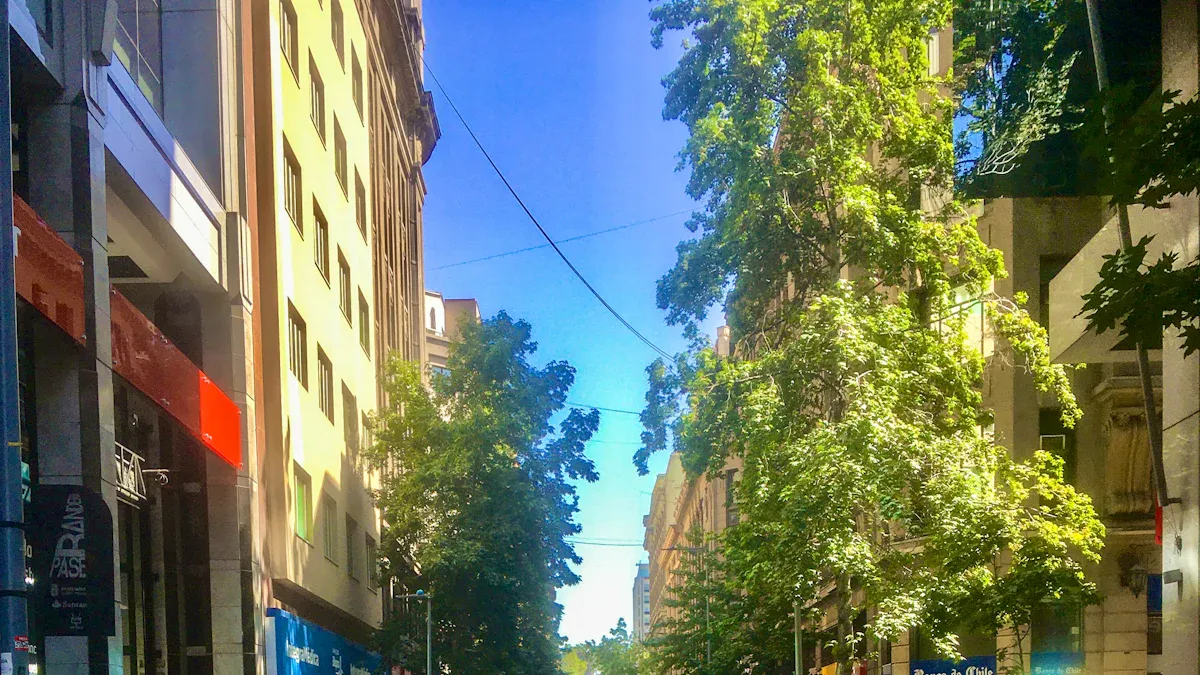 Urban Space & Aesthetics