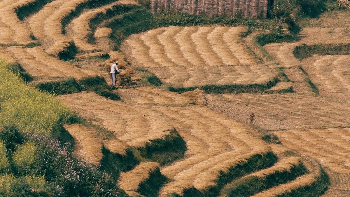 Farm Size & Needs
