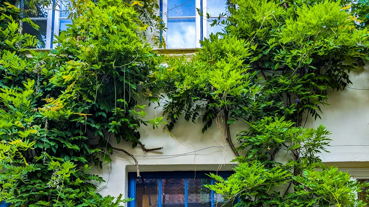 Find Your Front Door Direction