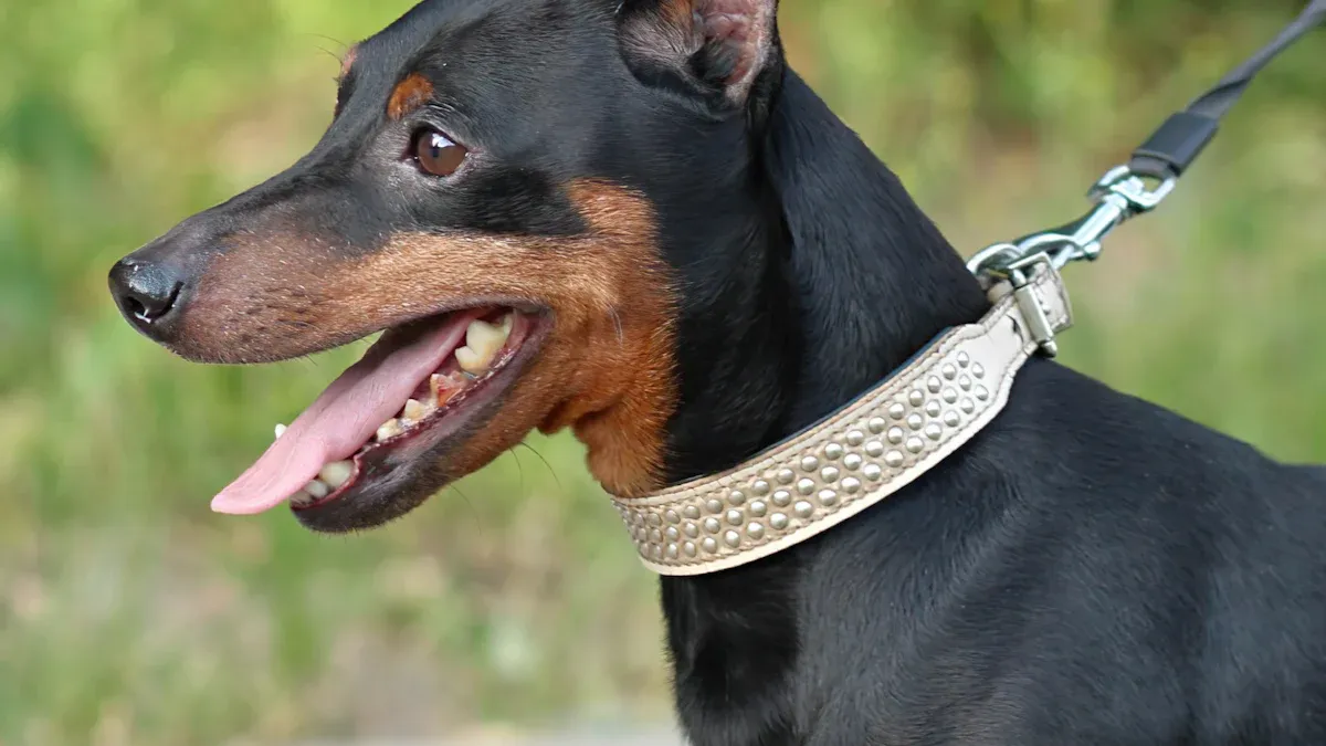 The Personal Connection in Pet Leather Carving