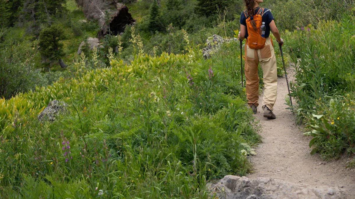 Hiking for Beginners