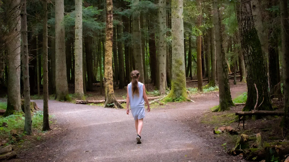 Easy Hiking Trail Examples