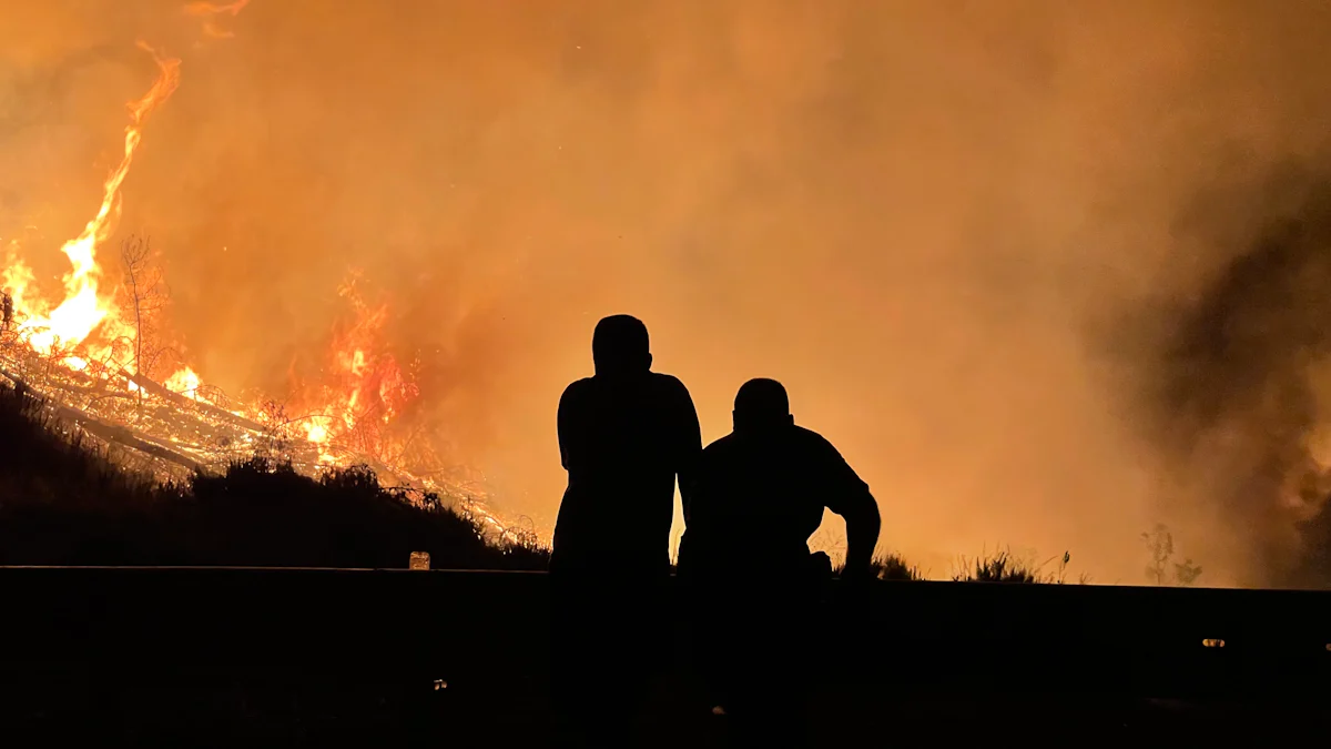 The Escalating Crisis of Wildfires in Los Angeles
