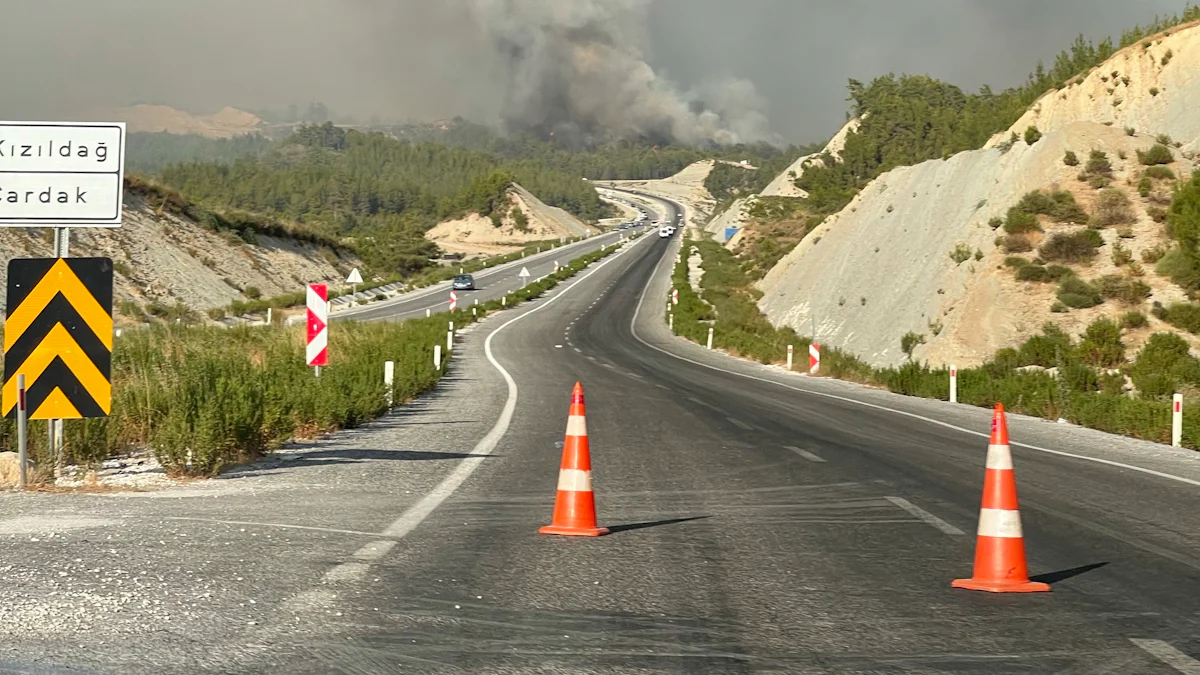 Air Travel Disruptions Due to Wildfires