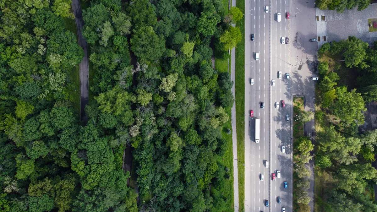 Environmental Impact of High-Speed Rail