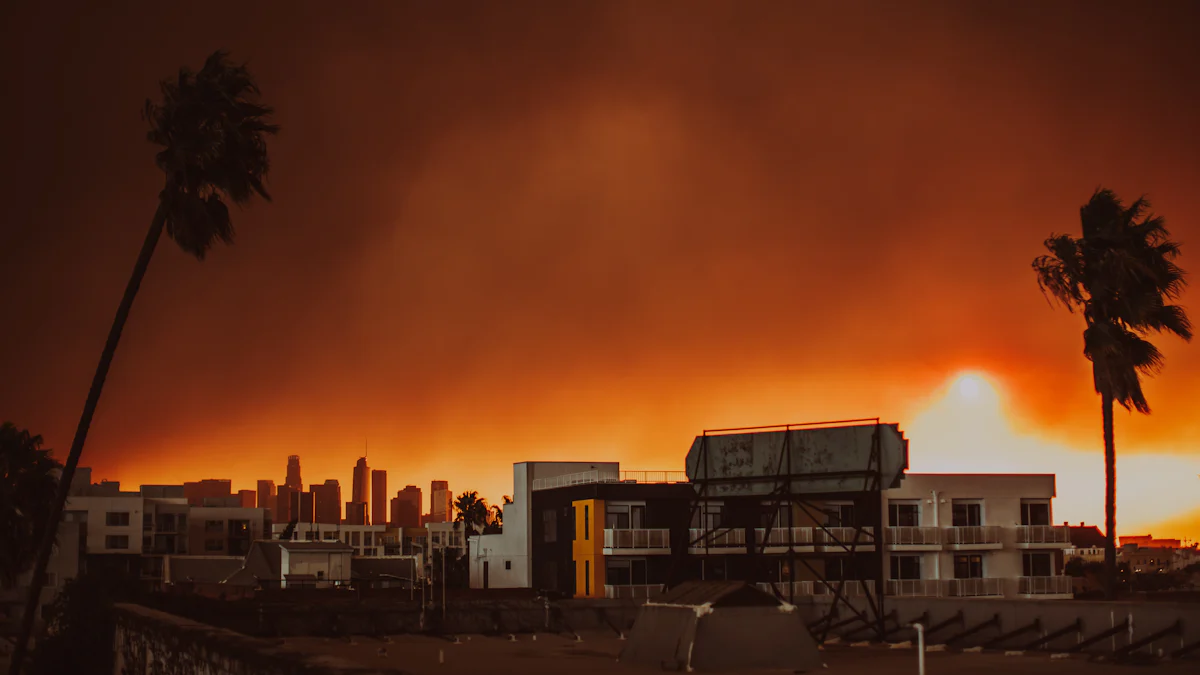Overview of Los Angeles Wildfires