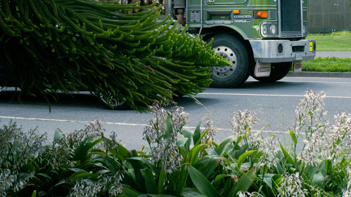 The Positive Impact of Sustainable Logistics on Business Growth
